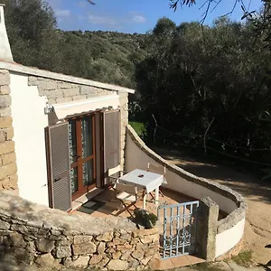 https://villa-bouganville-barrabisa.in-sardinia.net